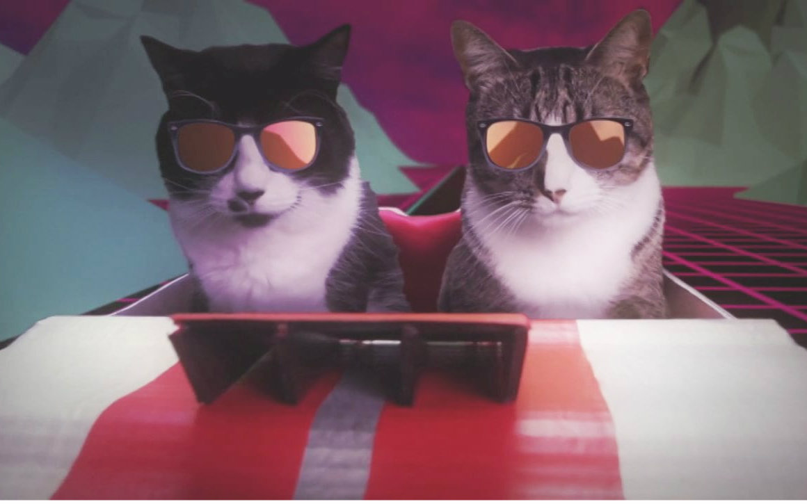 魔力摇滚猫 [开眼eyepetizer-160810期]