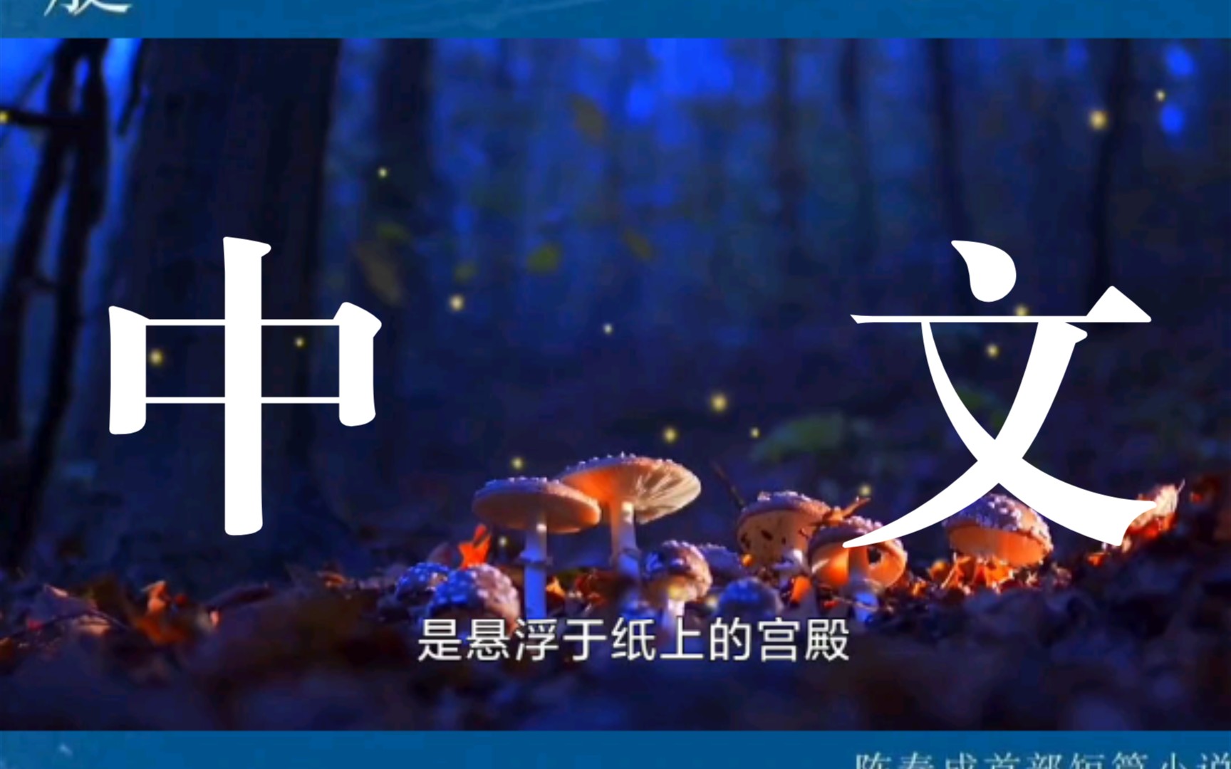 陈春成《夜晚的潜水艇》,感受好中文的样子!哔哩哔哩bilibili