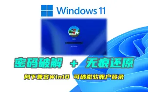 Download Video: 【干货】Win11密码破解！支持微软账户PIN码破解！| 保姆级教程，1分钟包教包会！