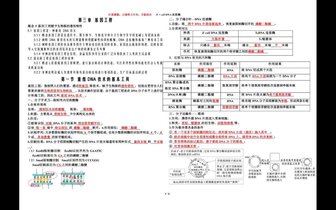 高中生物选择性必修三基因工程精细知识点总结哔哩哔哩bilibili