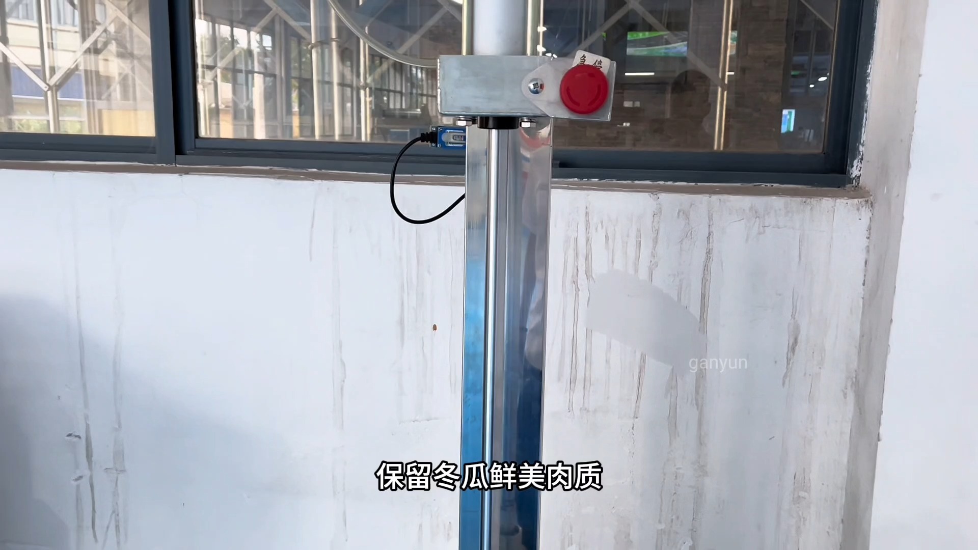 全自动冬瓜削皮机 南瓜去皮机器