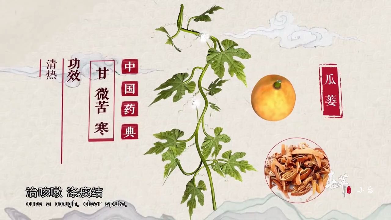 [图]本草中国-共生-瓜蒌