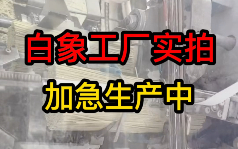 白象工厂国货实拍,工友加班加点不停歇,今天拍的这个生产线是杂粮绿豆面,你吃过吗?哔哩哔哩bilibili