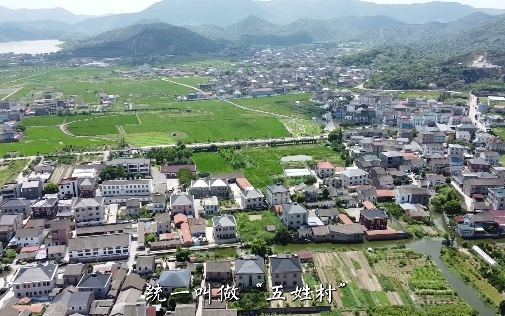 [图]乡村振兴宣传片（杭电）