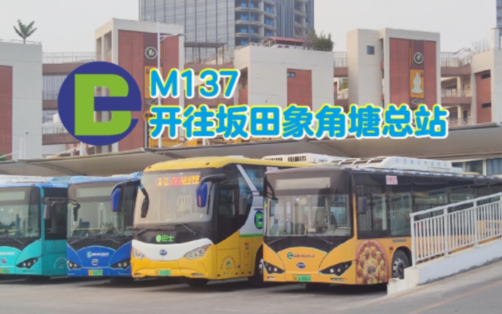 【坂田绕绕乐】深圳公交 M137——坂田象角塘总站哔哩哔哩bilibili