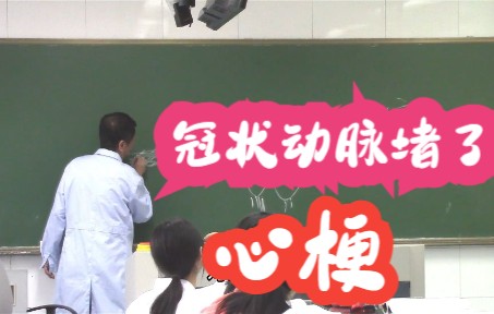 心血管系统 心的血管3 冠状动脉的主要性 系统解剖学哔哩哔哩bilibili