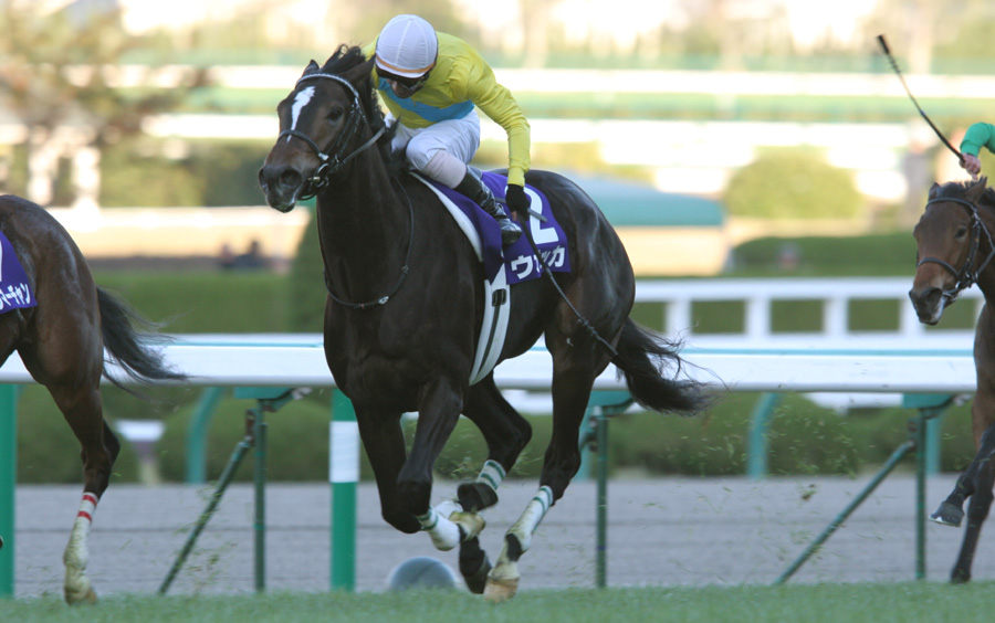 赛马阪神jfgⅠ赛事纪录vodka伏特加