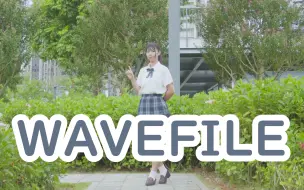 Download Video: 【绵羊】WAVEFILE Full.ver【甜饼酱JK】