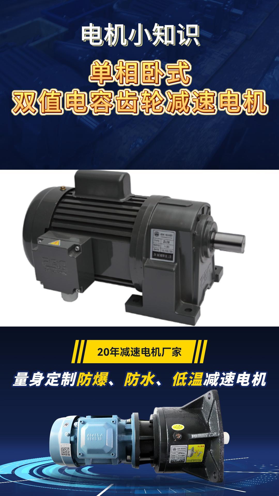 单相卧式双值电容齿轮减速电机