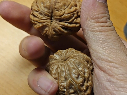 全品元宝核桃,平谷元宝,全品无修,一刀没动,配对精美,走色漂亮,皮质