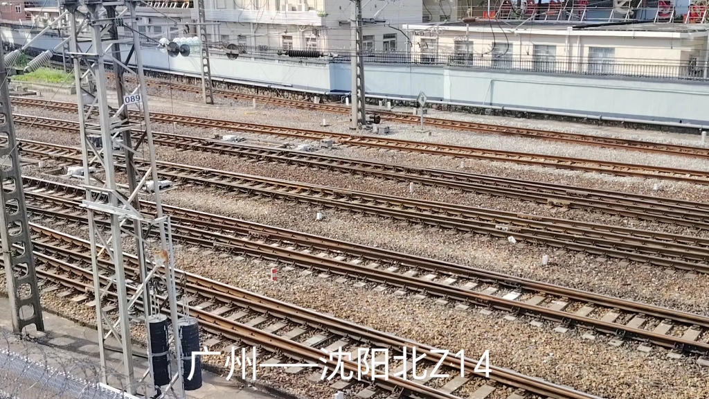 广园西路拍火车