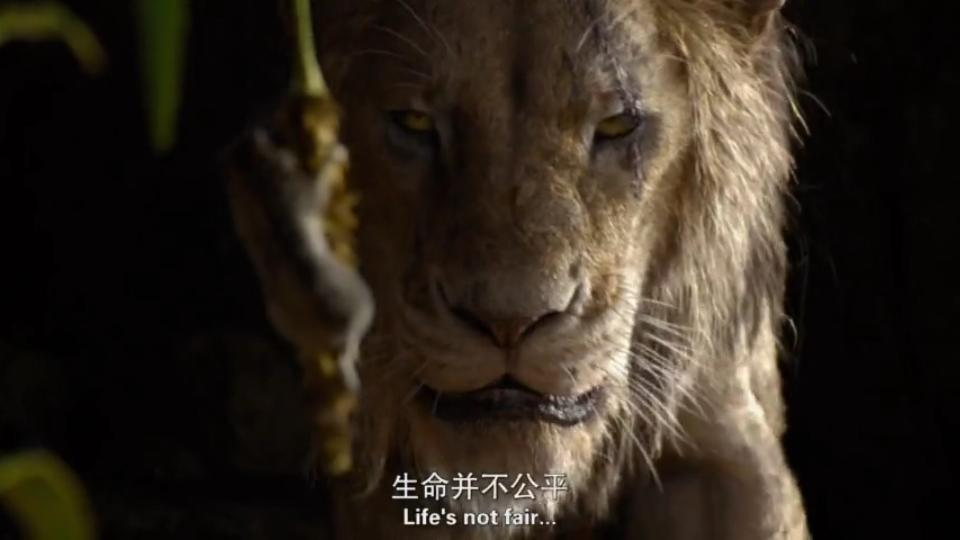 影视英语《狮子王》THE LION KING 台词解析哔哩哔哩bilibili