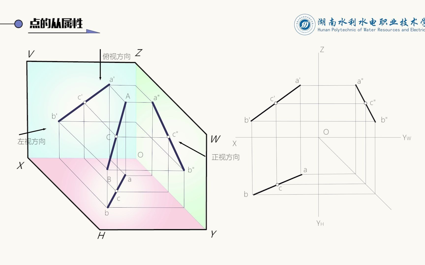 219 点的从属性哔哩哔哩bilibili