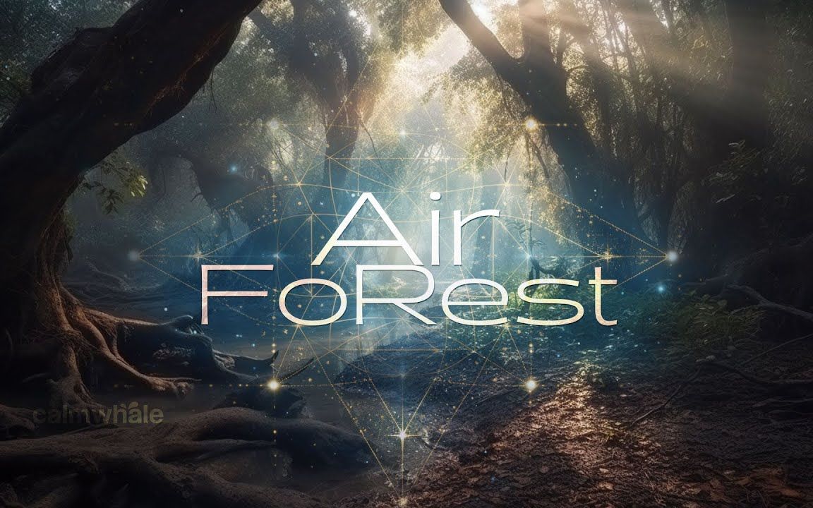 【能量调频】air forest | tap into profound inner | wind chimes
