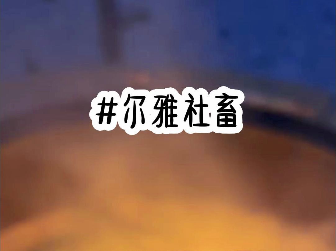 詺~尔雅社畜 #拯救书荒哔哩哔哩bilibili