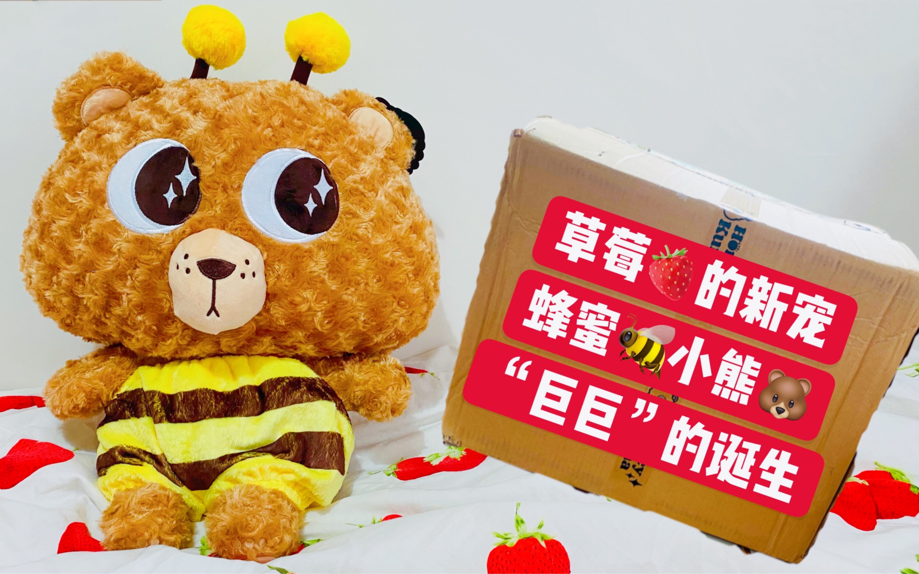 『胖鱼蛋拆箱』草莓的新宠 HONEY KUMA蜂蜜小熊 “巨巨”的诞生日记!哔哩哔哩bilibili