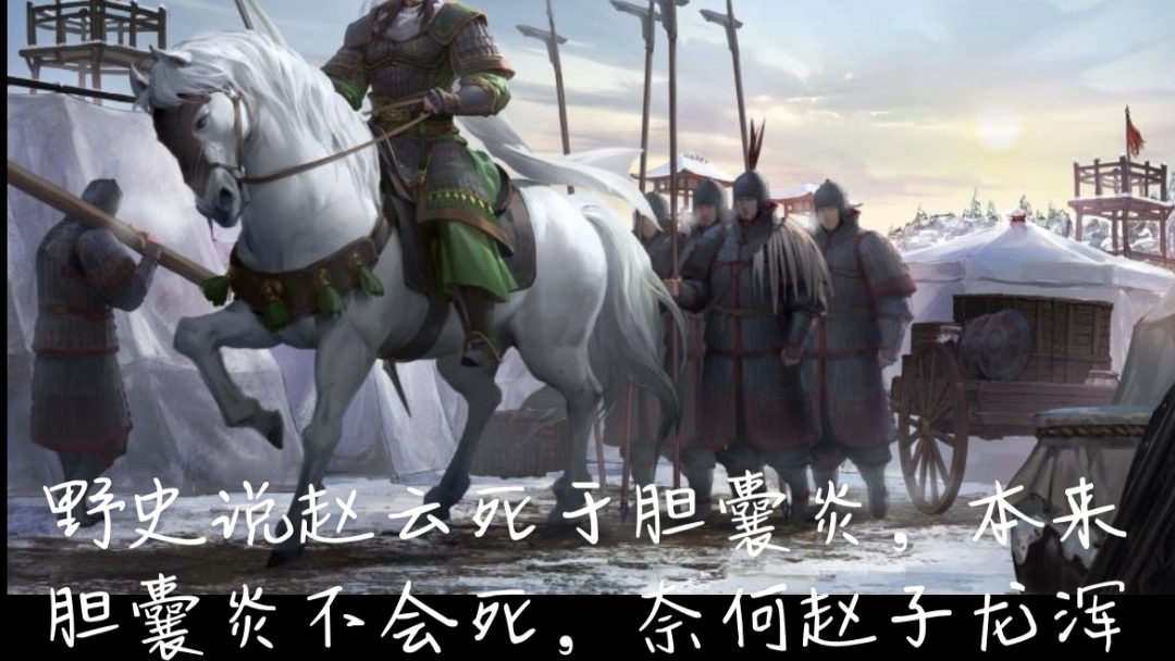 野史说赵云死于胆囊炎,本来胆囊炎不会死,奈何赵子龙浑身是胆#率土之