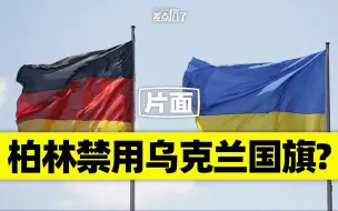 Download Video: 柏林把乌克兰国旗给禁了？【差点信了】