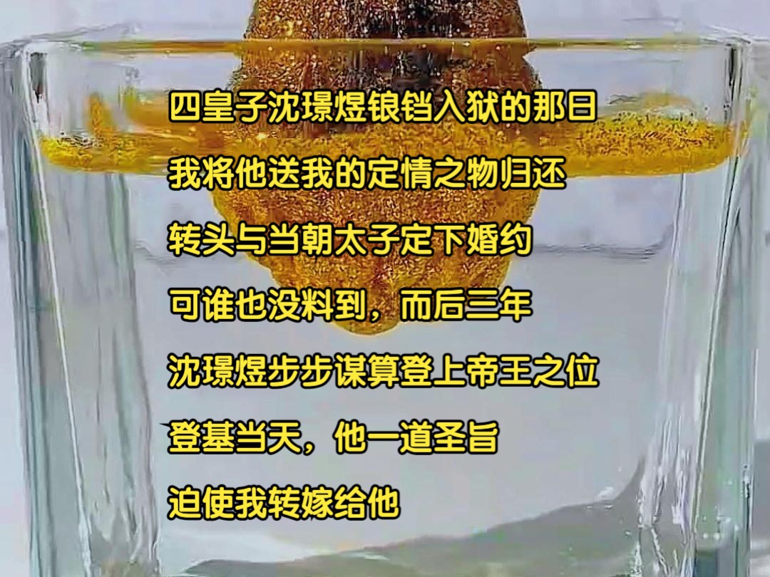 四皇子沈璟煜锒铛入狱的那日,我将他送我的定情之物归还,转头与当朝太子定下婚约.可谁也没料到,而后三年,沈璟煜步步谋算登上帝王之位.登基当天...