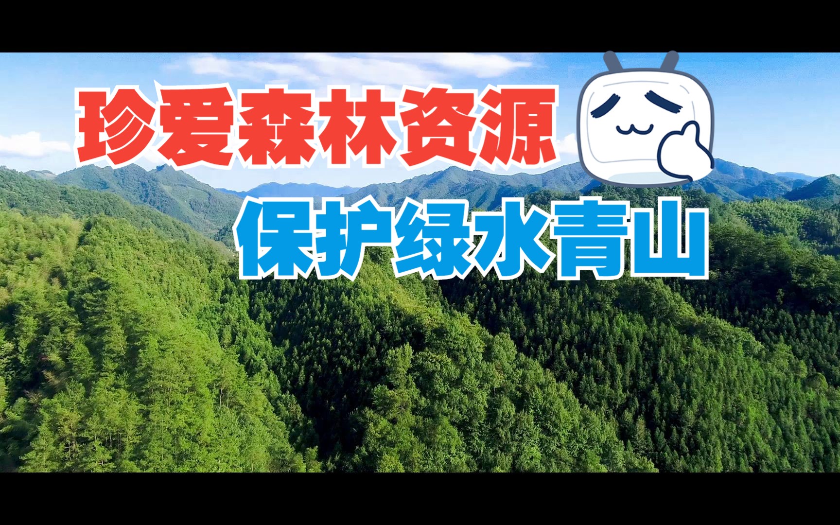 珍爱森林资源 保护绿水青山哔哩哔哩bilibili