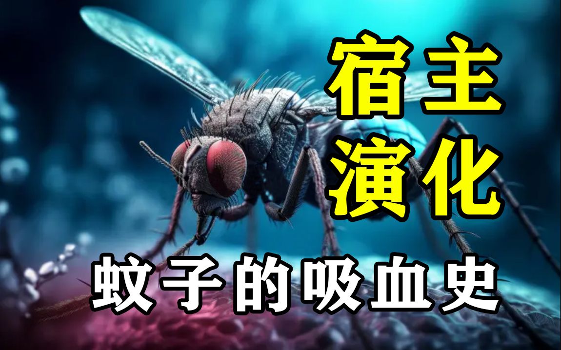 1亿年前的蚊子真吸过恐龙的血!蝙蝠的祖先就会回声定位?【朝化析拾19】哔哩哔哩bilibili