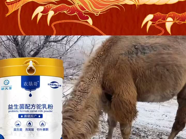 新天雪乳业70%配方驼奶粉,执行新疆最新地方标准!哔哩哔哩bilibili