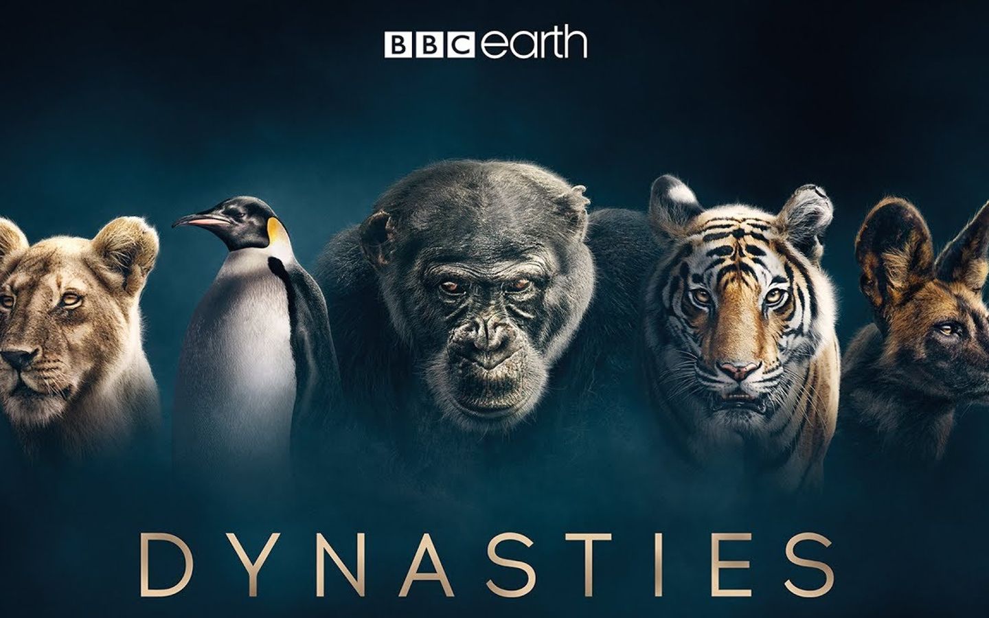 预告王朝dynasties2018