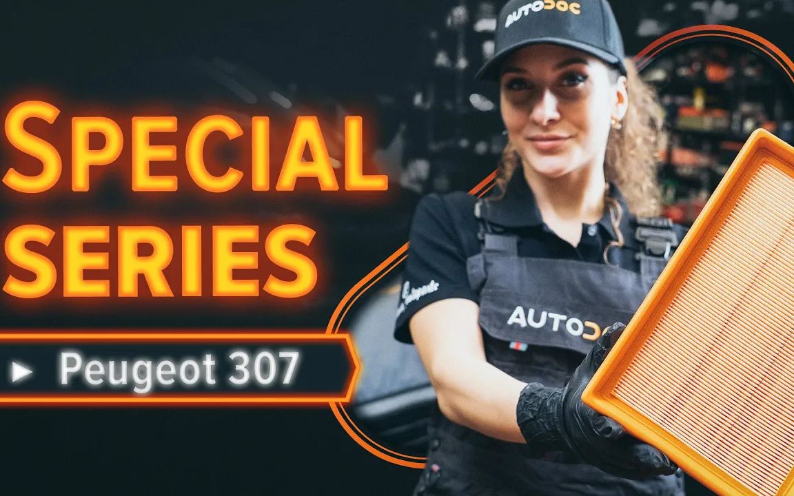 【汽车】如何更换标致PEUGEOT 307 SW 的空气滤清器【autodoc.co.uk】【搬运】哔哩哔哩bilibili