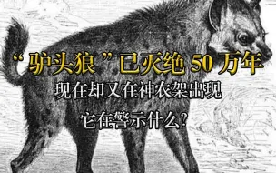 Download Video: “驴头狼”已灭绝50万年，现在却又在神农架出现，它在警示什么？