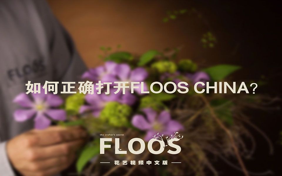 【花艺视频教程】3分钟教你如何正确使用FLOOS花艺视频中文网站哔哩哔哩bilibili