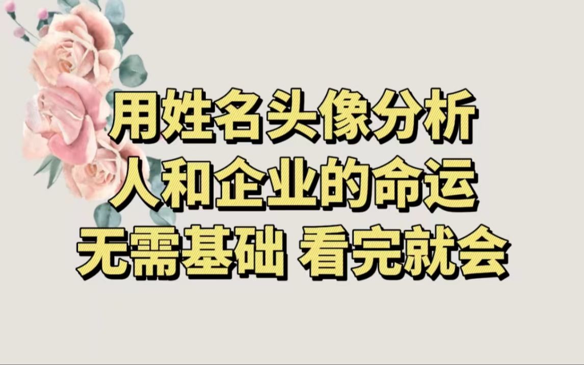 用姓名、头像分析人和企业的命运、喜忌,无需基础,看完就会哔哩哔哩bilibili