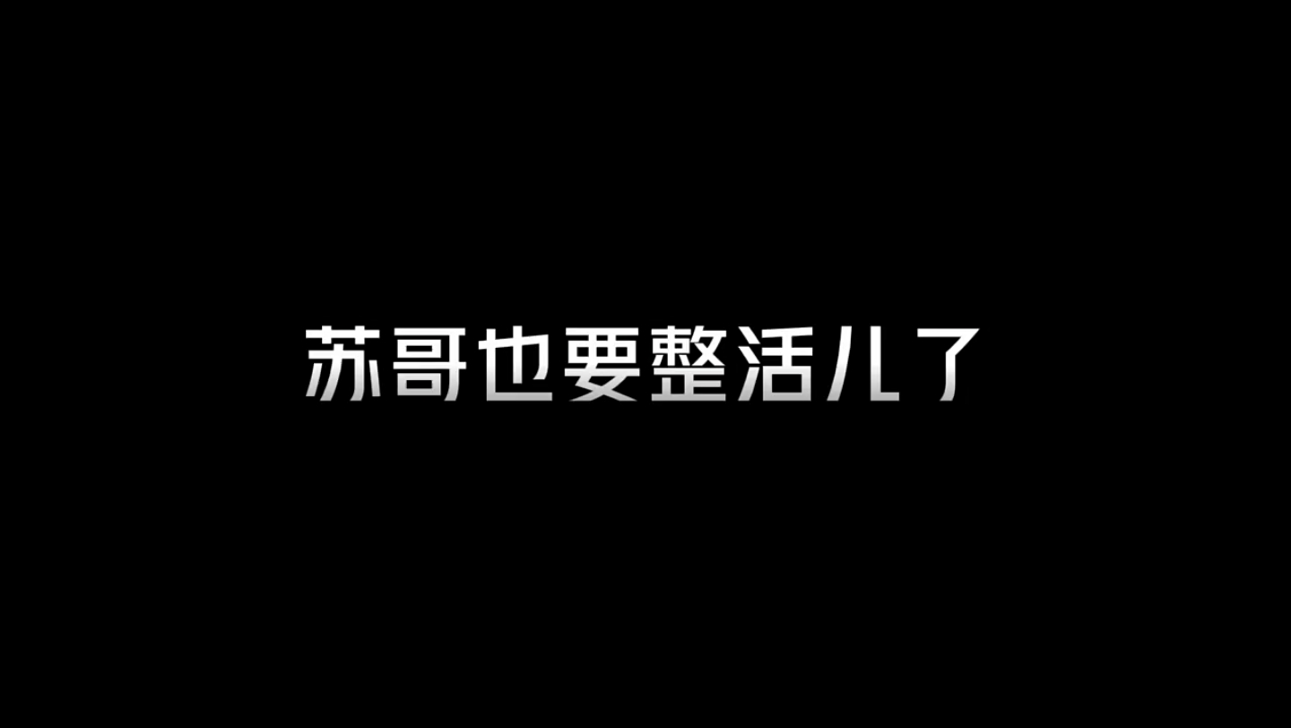 苏哥也要整过儿哔哩哔哩bilibili