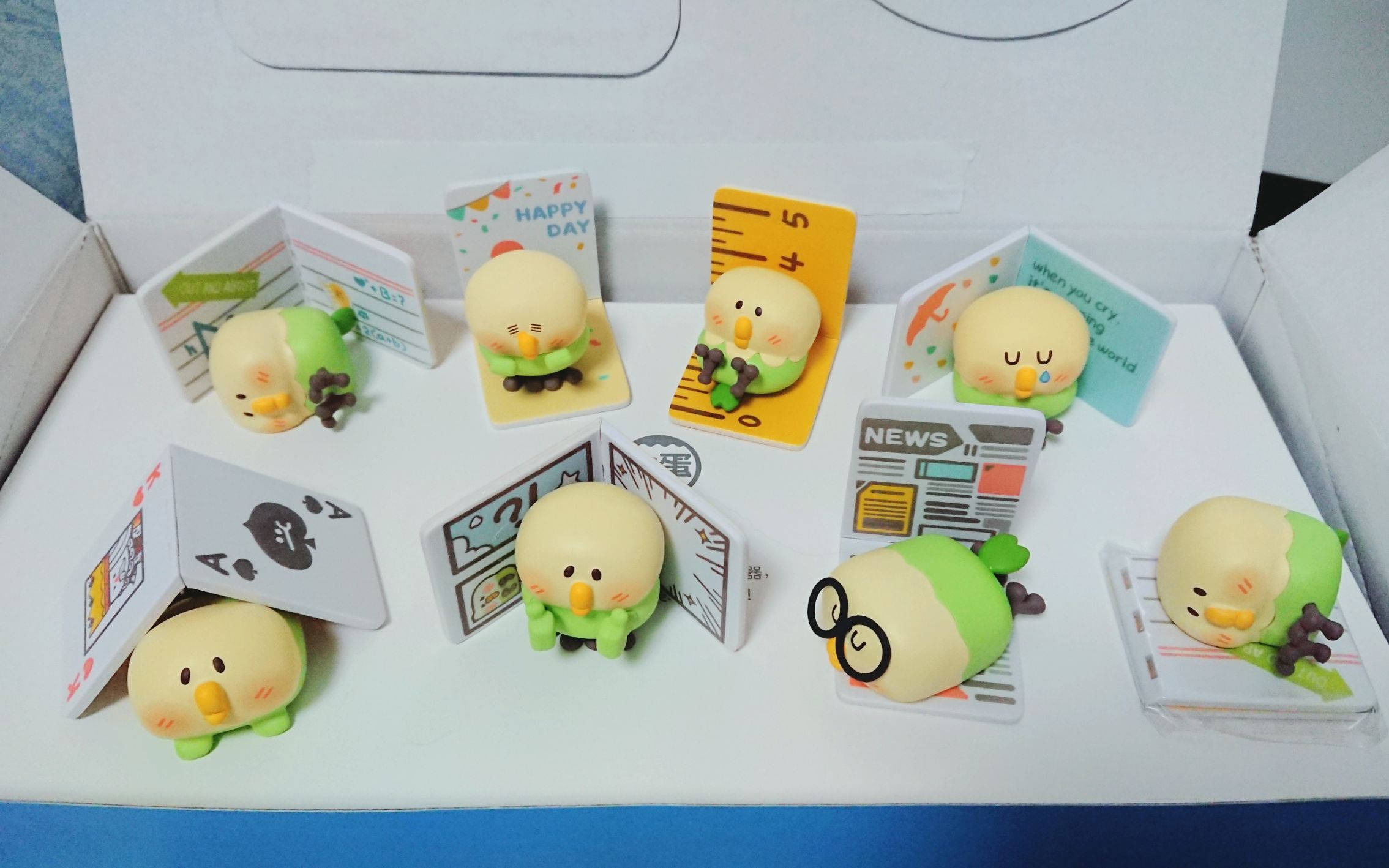 超可爱的小鹦鹉bebe盲盒开箱非洲人隐藏一发入魂可还行