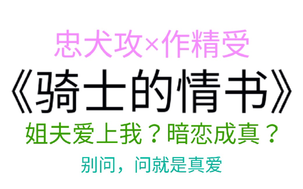 原耽推文:《骑士的情书》被骗婚后我爱上了小舅子!!狗血家庭大戏???哔哩哔哩bilibili