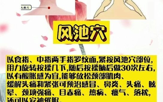 风池穴的功效哔哩哔哩bilibili