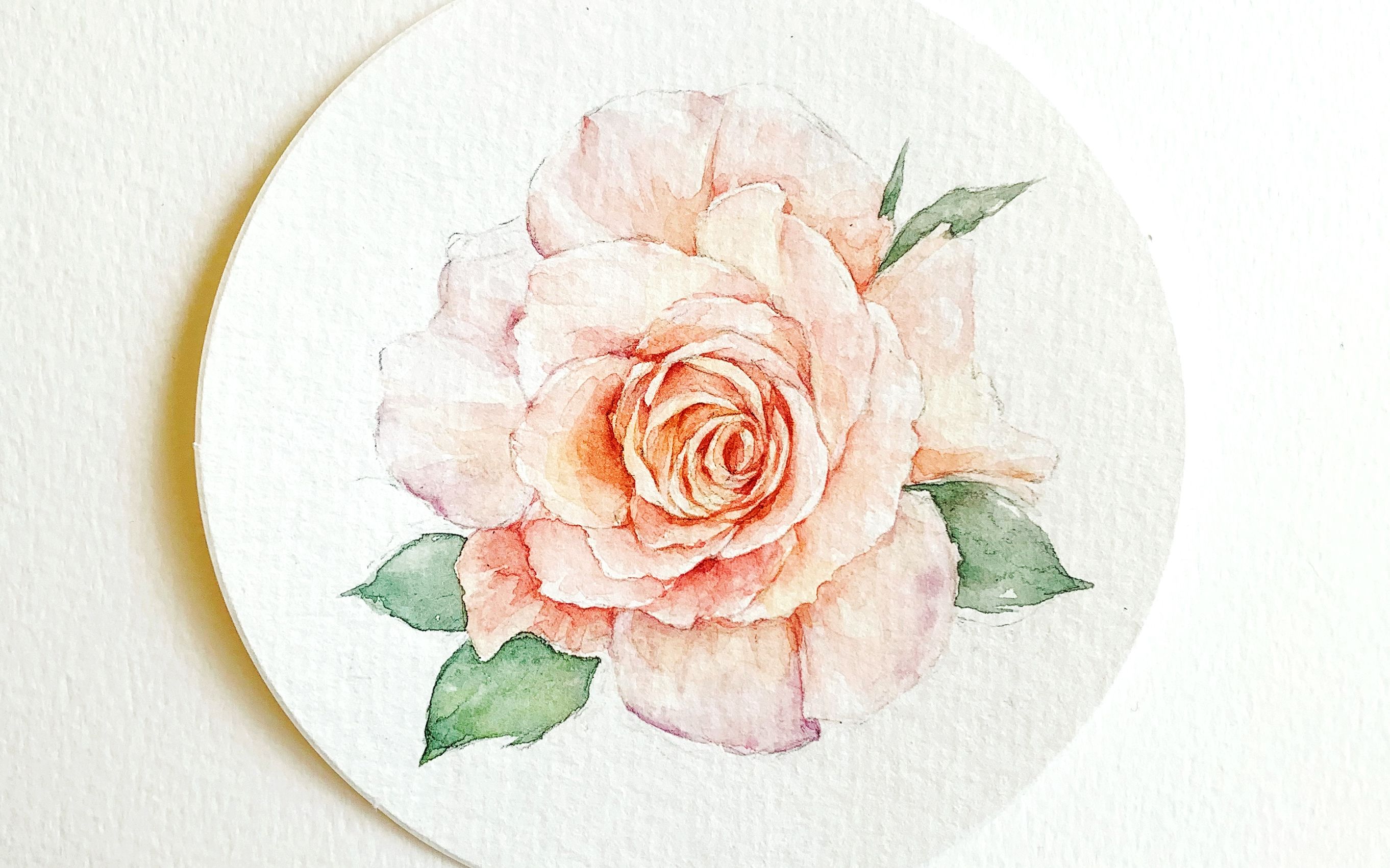 【水彩】圆形纸花卉绘画过程快放_哔哩哔哩 (゜-゜)つロ 干杯~-bili