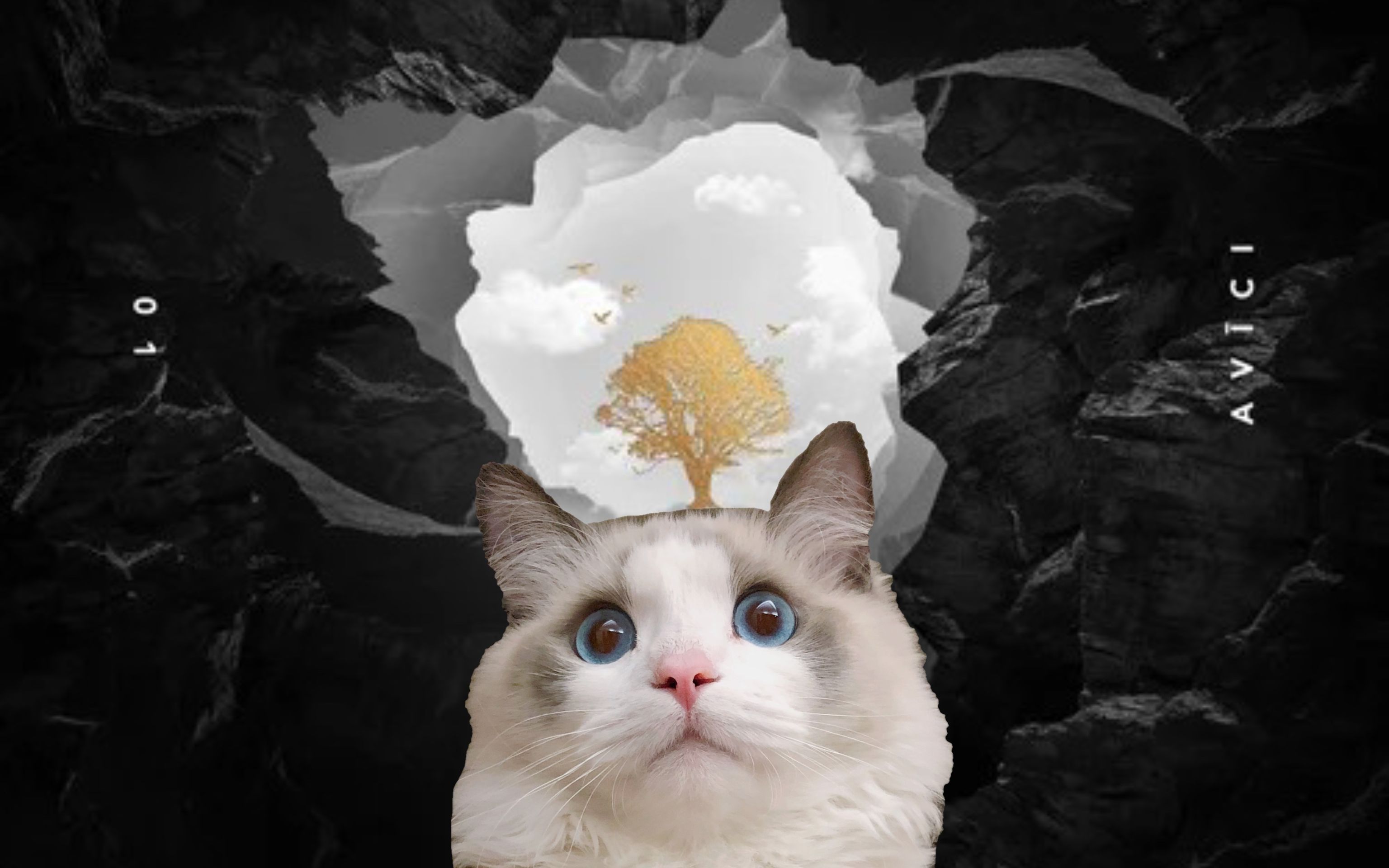 5分钟学唱a神avicii热单《without you》