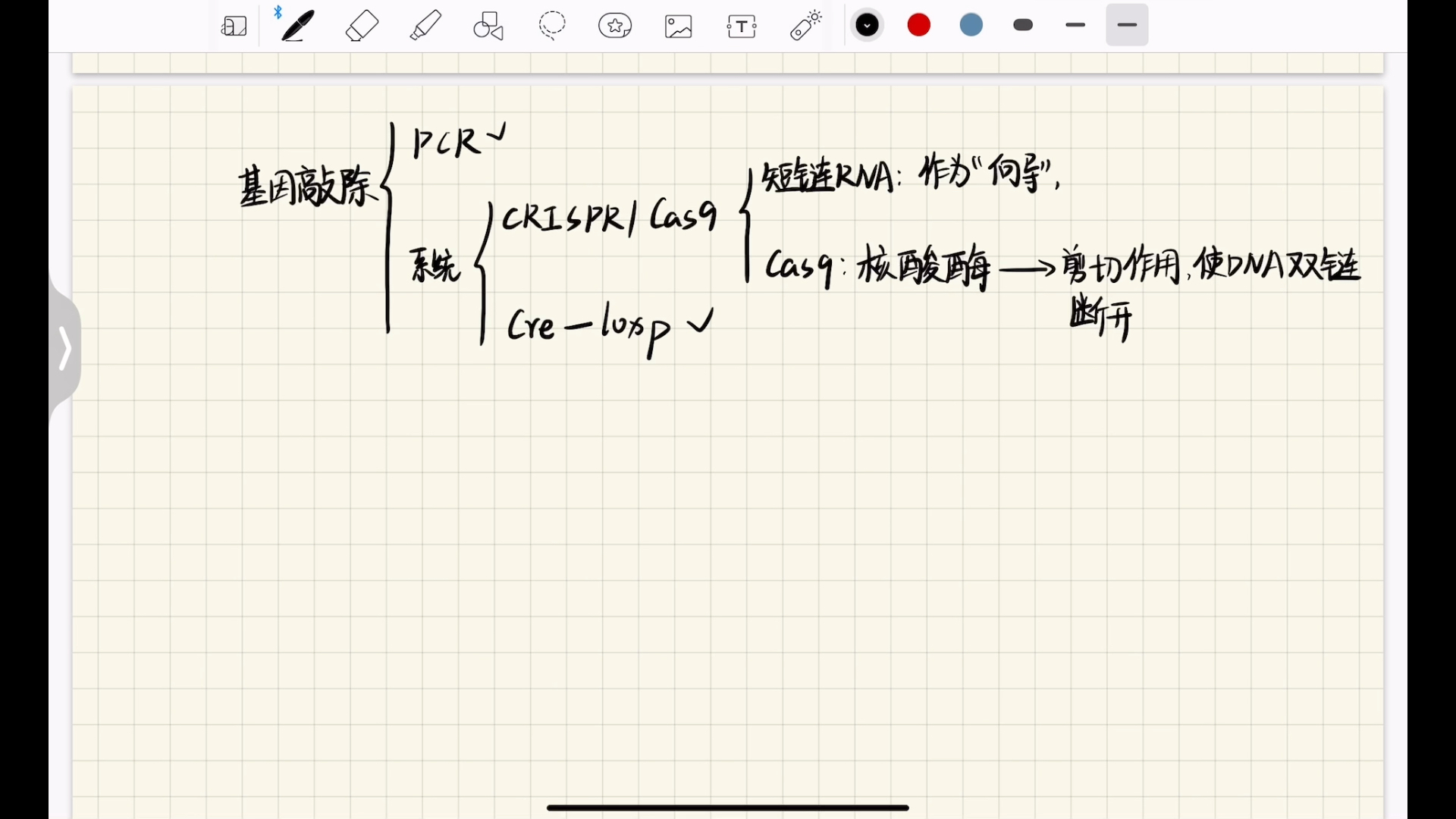 基因工程常考题型知识点讲解下(巢式PCR、基因编辑技术)哔哩哔哩bilibili