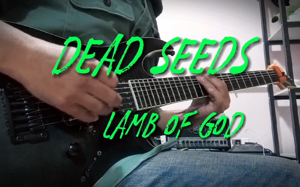 [图]《dead seeds》lamb of god 金属riff