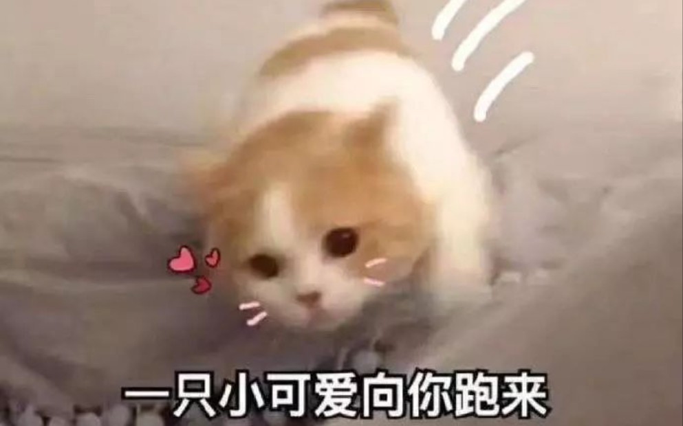 七步洗手法【航航宇宇】哔哩哔哩bilibili