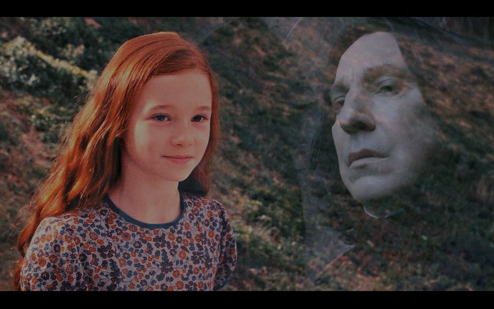 活动作品hp斯莉1cp向我在人间等你在九幽等你