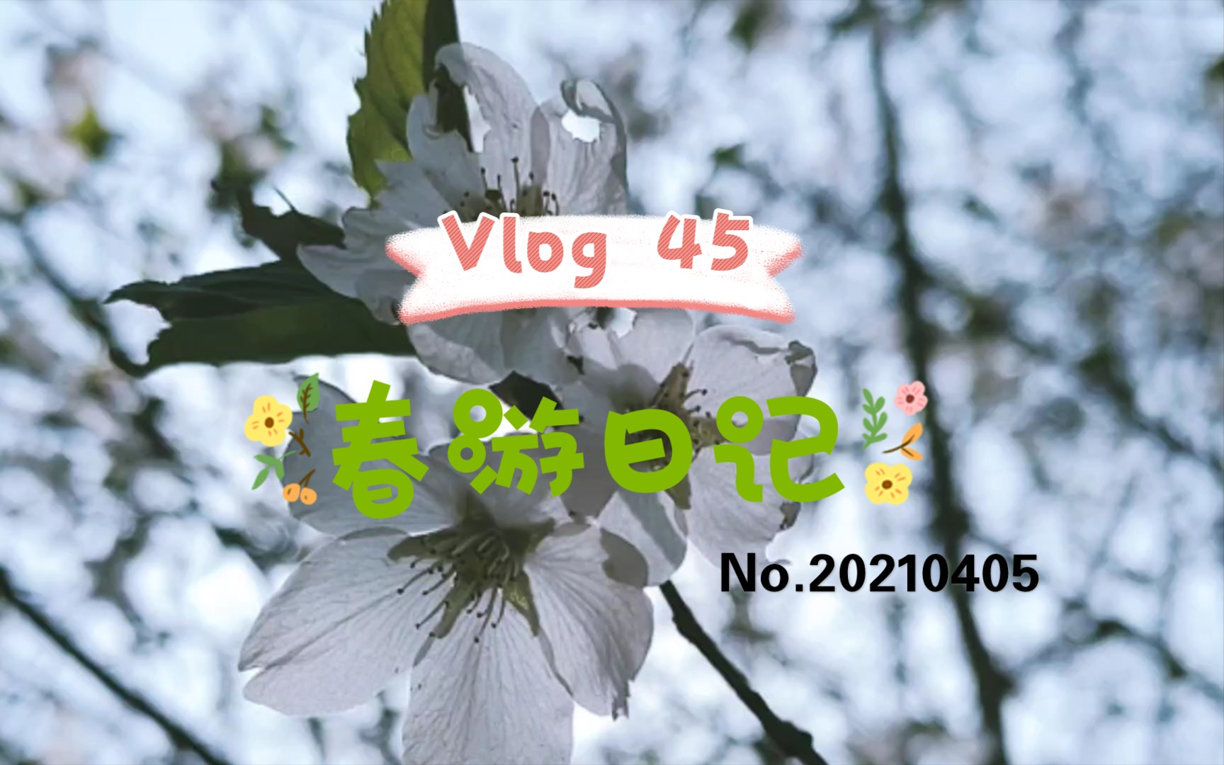 【春游日记】植物园半日游哔哩哔哩bilibili