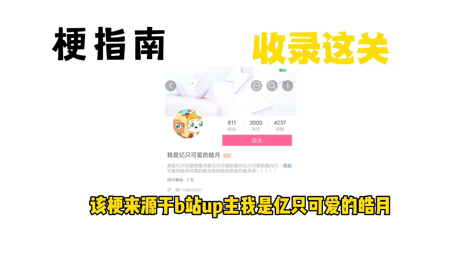 收录这关是什么梗【伪梗指南】哔哩哔哩bilibili