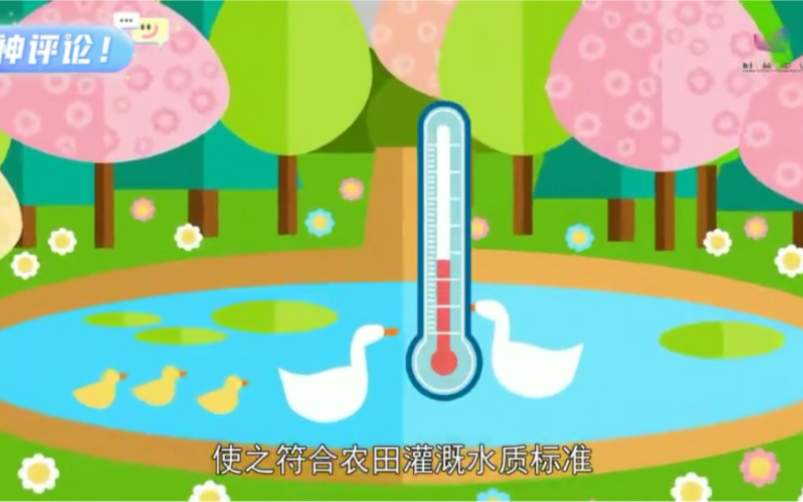 土壤防止是最好的保护方法哔哩哔哩bilibili