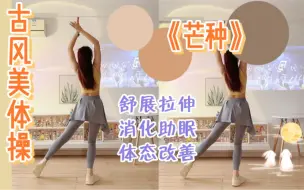 Download Video: 零基础美体操🌸拉伸放松，饭后消食✅提升气质～