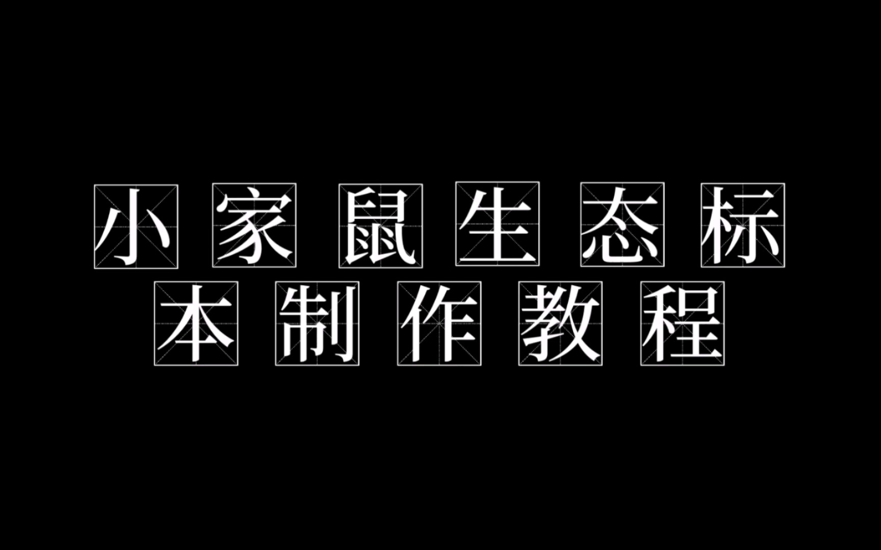 [图]小家鼠生态标本制作教程（样本来源：科研实验牺牲的小家鼠）