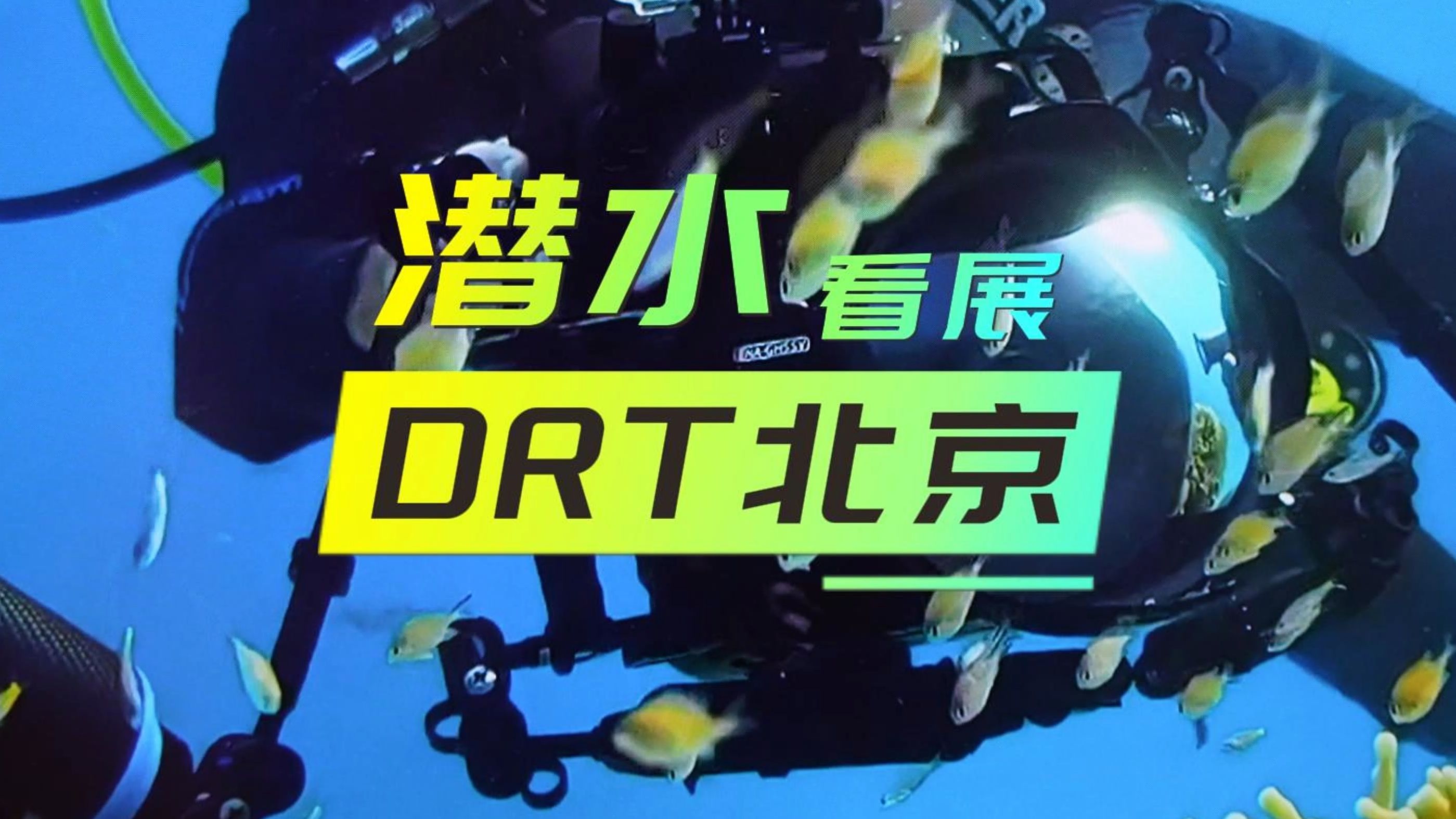 DRT北京国际潜水展有啥看点?哔哩哔哩bilibili