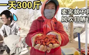 Скачать видео: 青海枸杞卖到国外!港澳台要怎么购买？太好吃看了都嘴馋