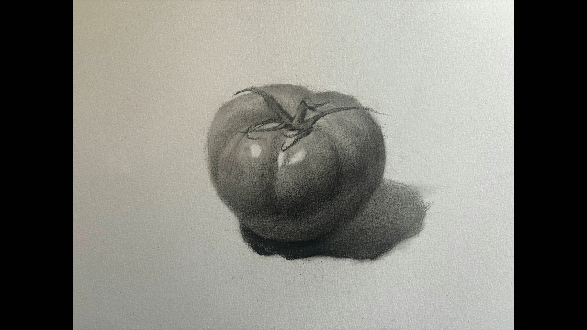 素描西红柿,整个绘画过程中,老师还不时停下手中的笔,从不同角度审视