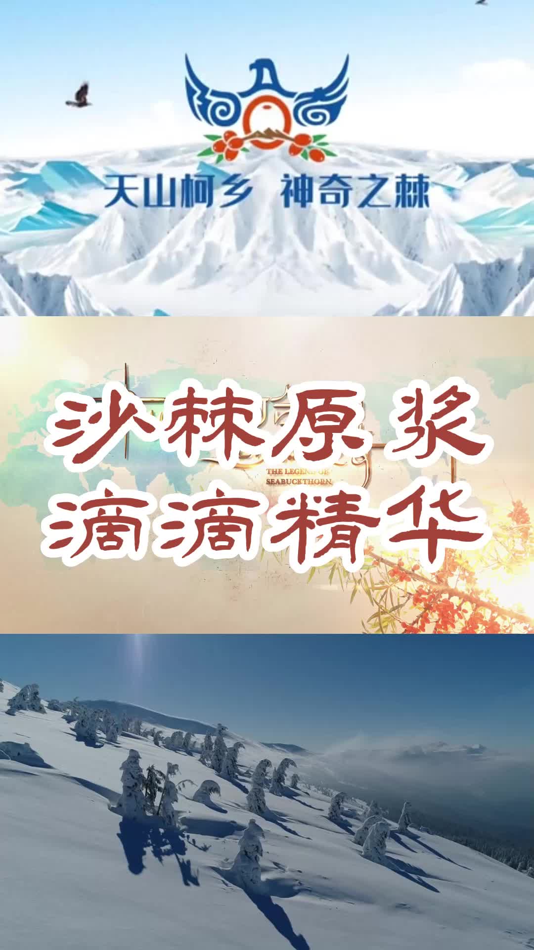 南疆棘鲜丰原浆厂家,提供阿合奇棘鲜丰和沙棘养生水果饮料;品质可靠,感兴趣的朋友等你来了解哔哩哔哩bilibili